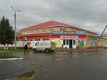 Звёздный (posyolok gorodskogo tipa Novy Toryal, ulitsa Kultury, 18А), shopping mall