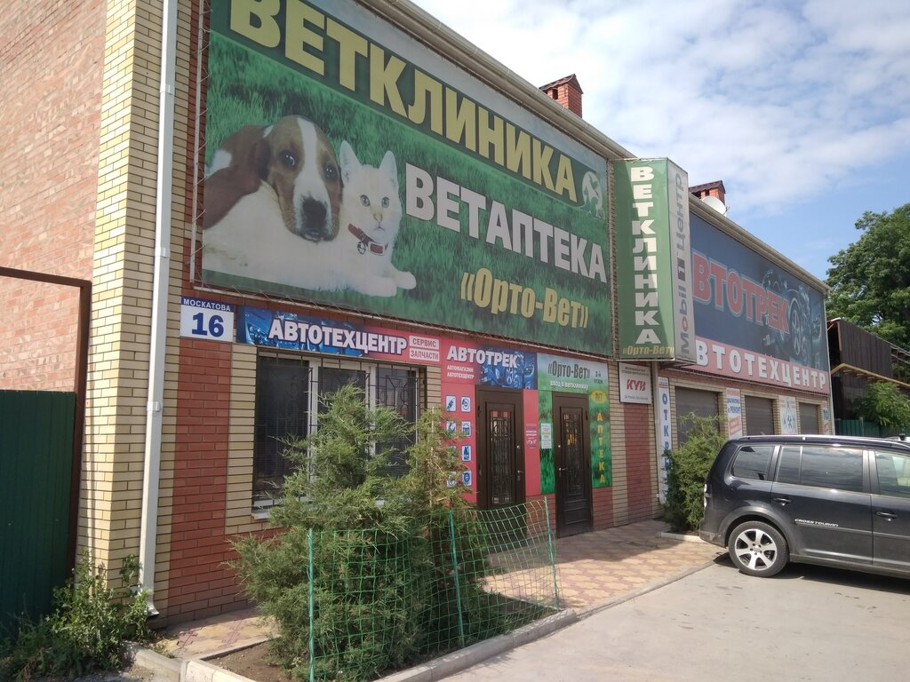 Veterinary clinic Orto-Vet, Taganrog, photo
