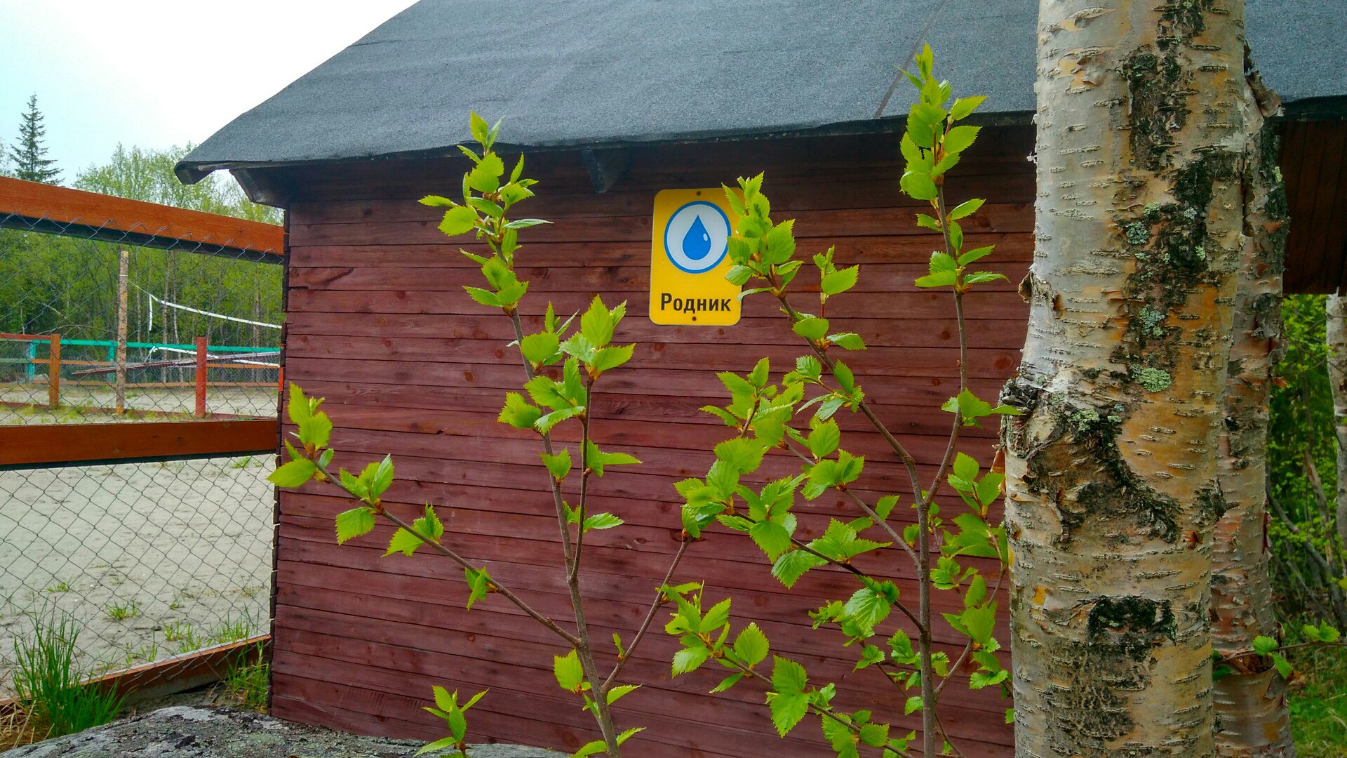 Фото Северное сияние