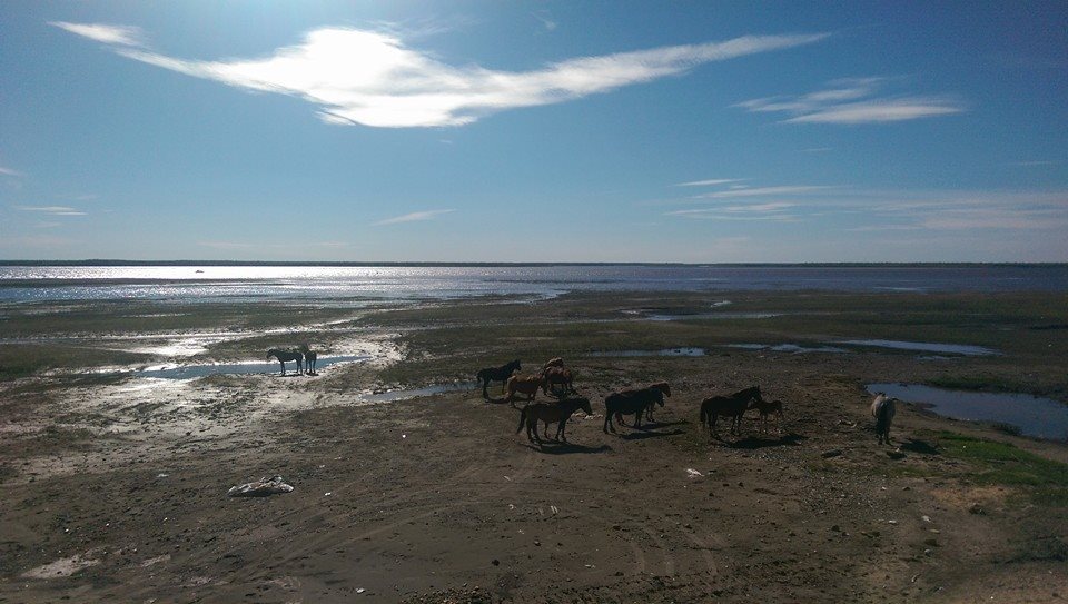Фото Прасковья