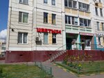 Cvetochnaya (Svyatoozyorskaya Street, 21) ، محل زهور