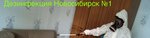 Dezinfektsiya Novosibirsk № 1 (Uritskogo Street, 4), disinfection, disinsection, deratization