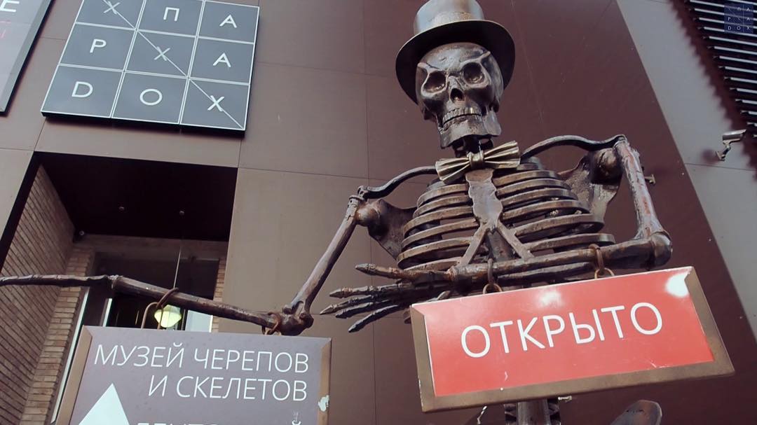 Музей скелетов зеленоградск
