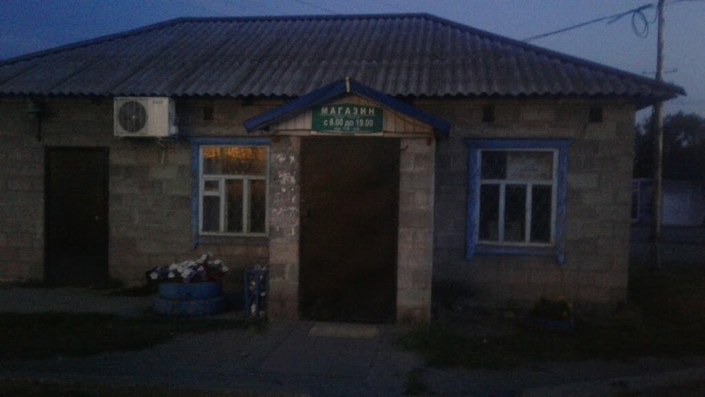 Магазин продуктов Альянс, Ульяновская область, фото