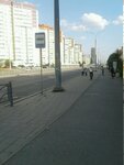 Улица Чкалова (ул. Чкалова, 241, Екатеринбург), остановка общественного транспорта в Екатеринбурге