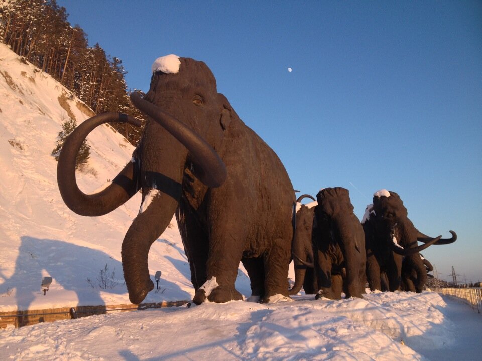 Мамонты ханты мансийск рисунки
