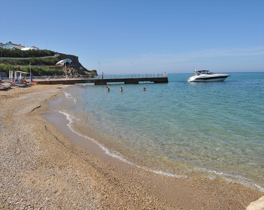 Фото Вязовая роща