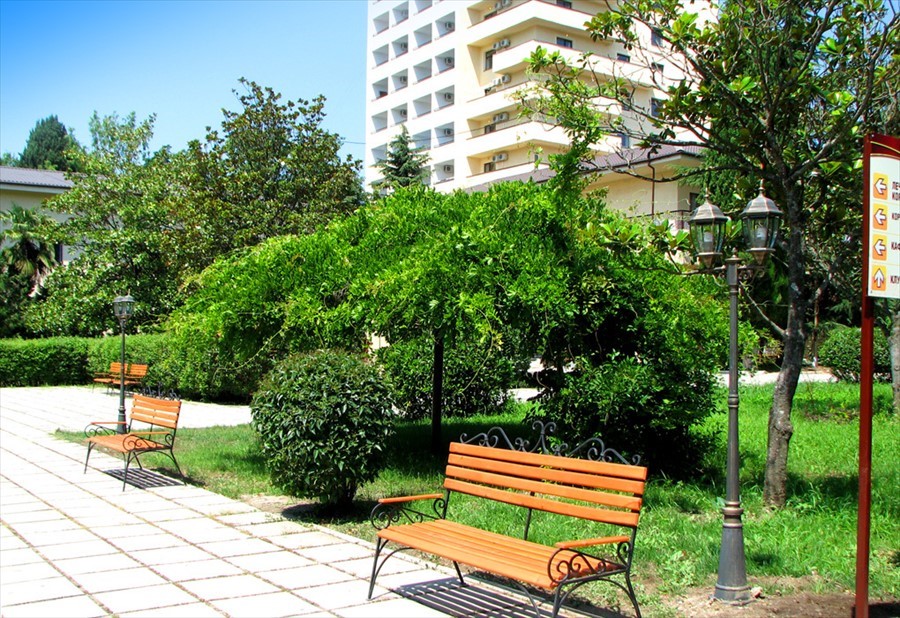 Фото Голден