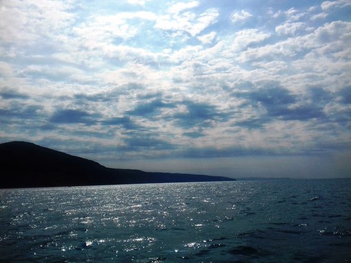 Фото Сосновый Бор