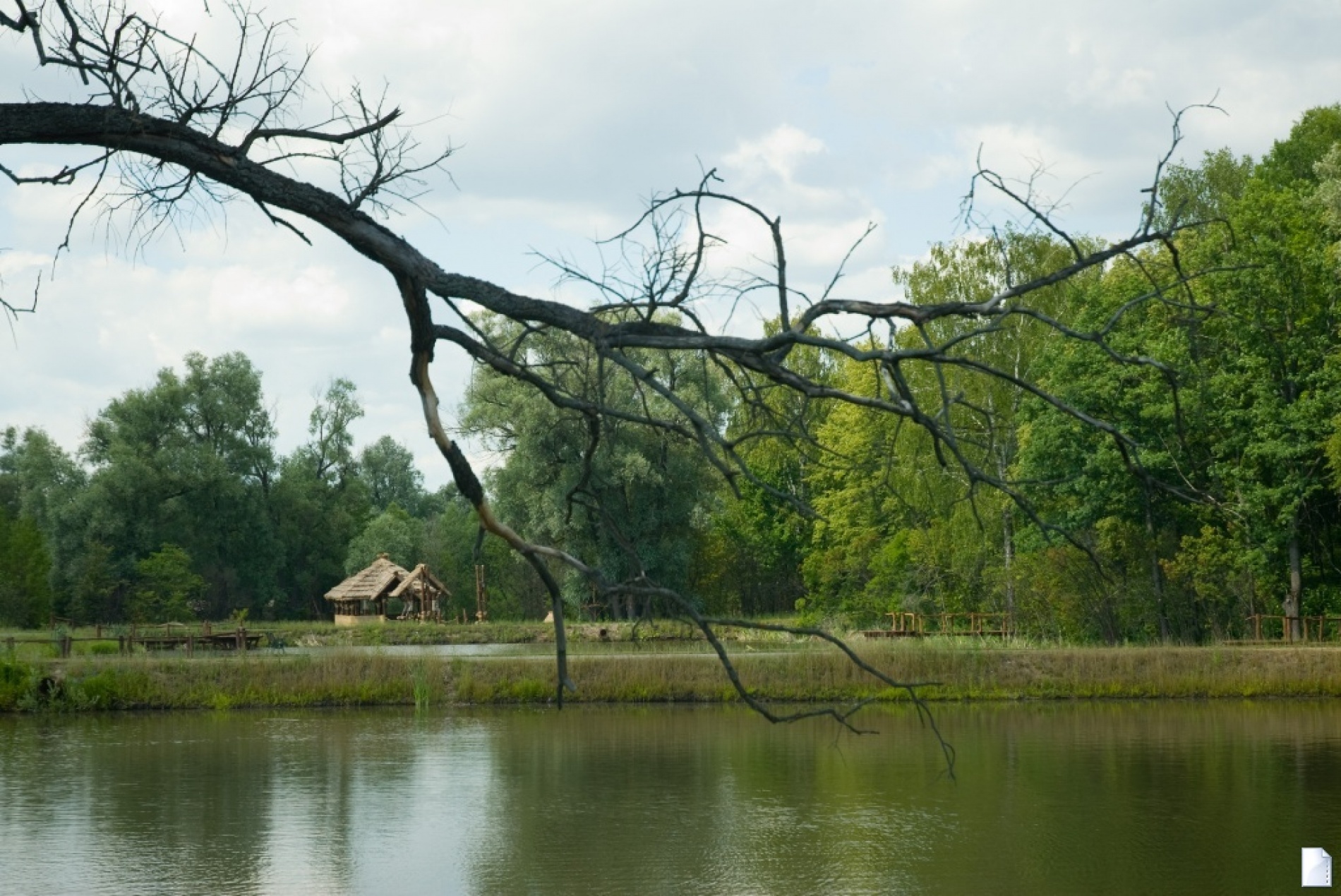 Фото Русская охота