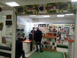 Apple Heart (ulitsa Pushkina, 59), items for mobile phones