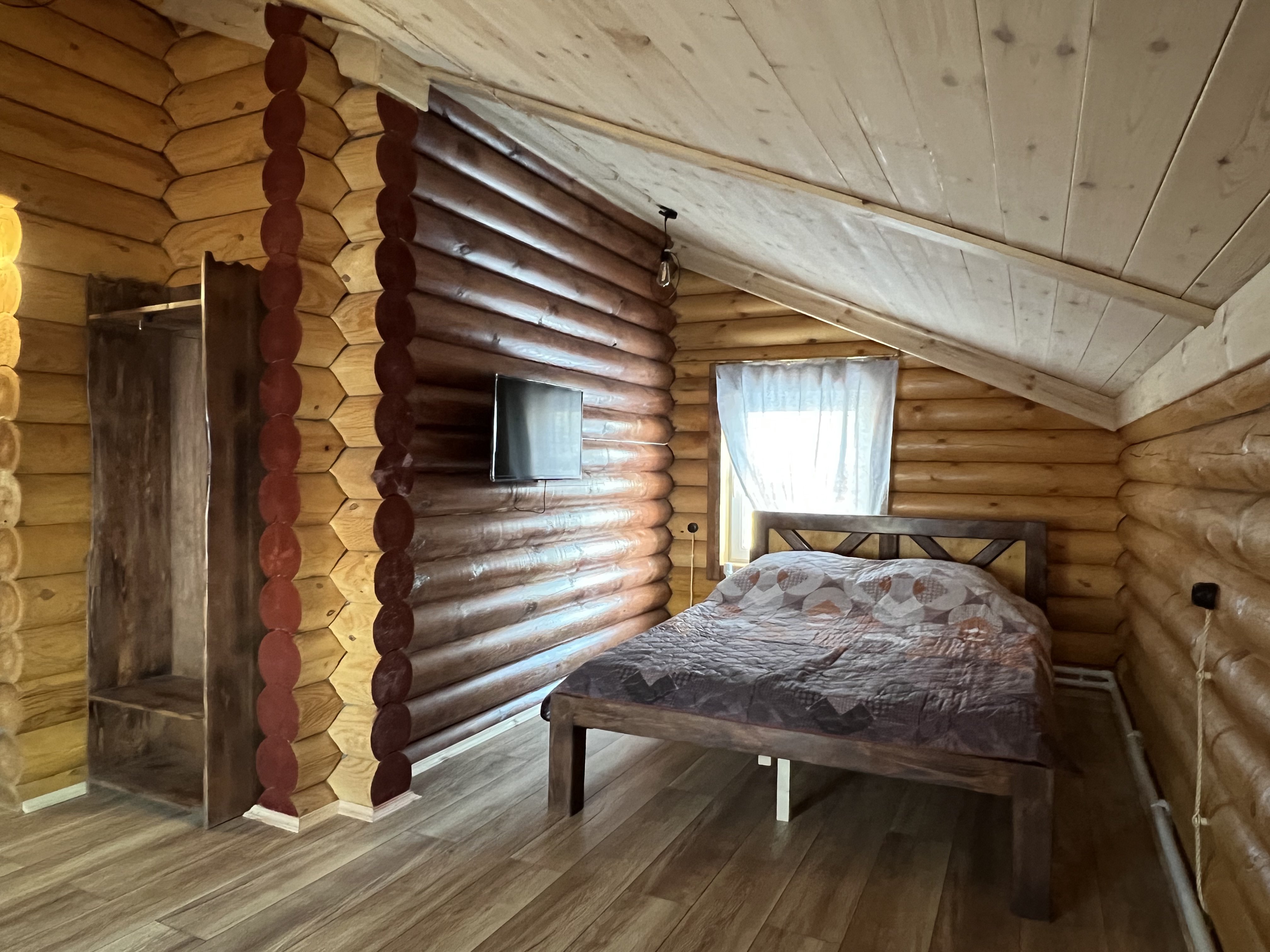 Фото Медоед