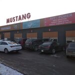 Mustang (Alatau City Administrative District, Yrysty kóshesi, 14/1), car service, auto repair