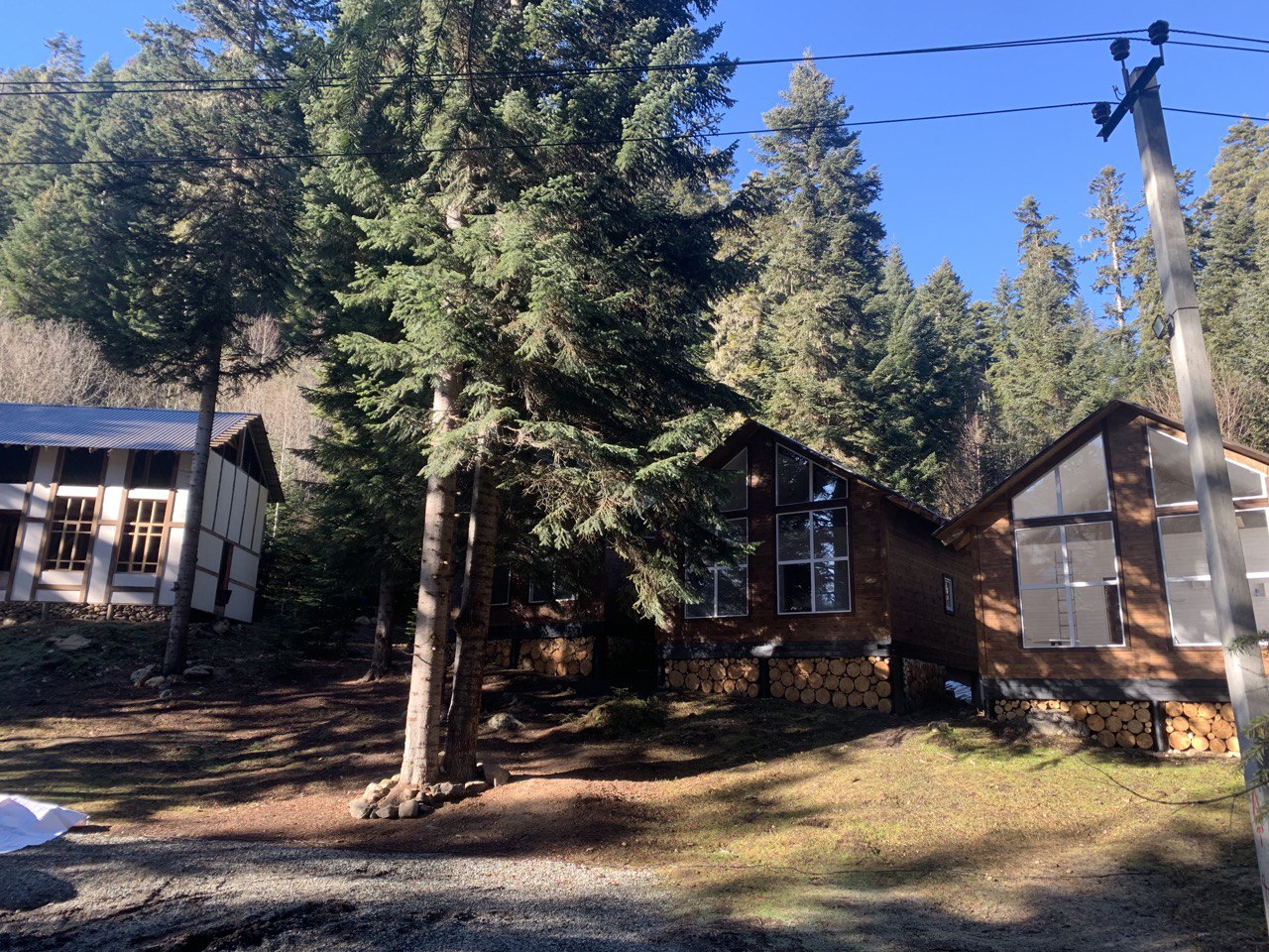 Фото Авалон