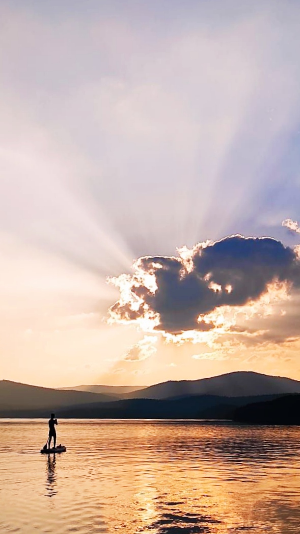 Фото Дикая Вишня