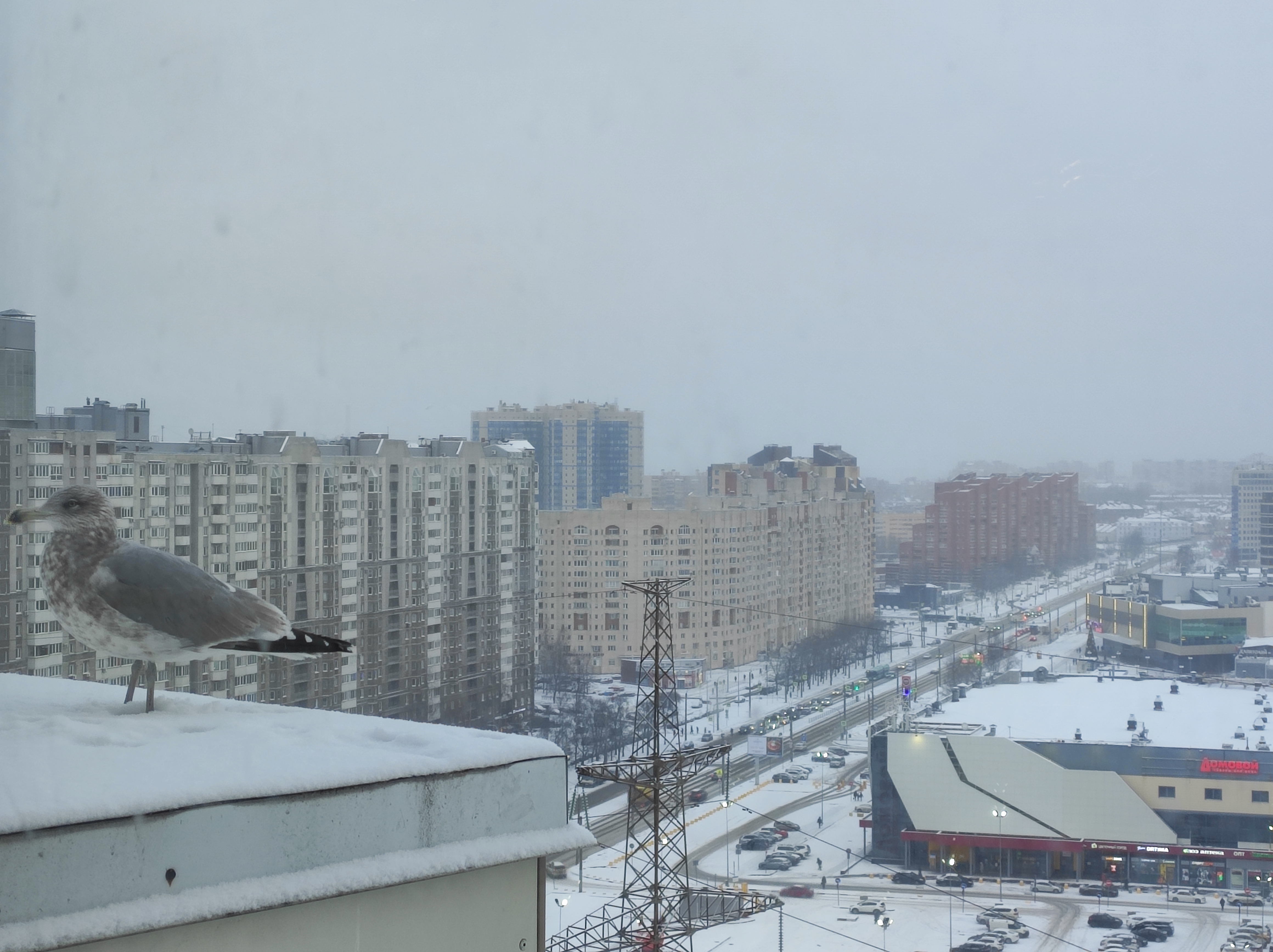 Фото Домотелли