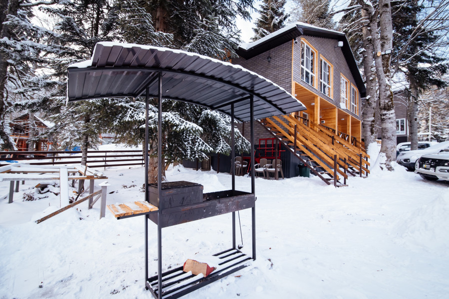 Фото Брусника