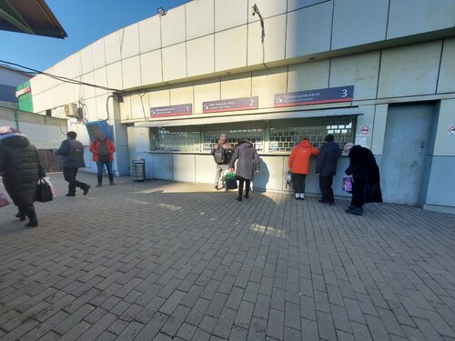 Мүше жағажайда тұрады