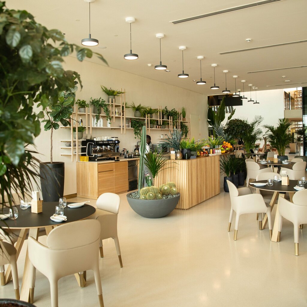 Restaurant Chie Restaurant, Sharjah, photo