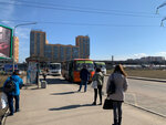Станция метро Девяткино (Leningrad Region, Vsevolozhckiy DIstrict, Murino, Mendeleeva Boulevard), public transport stop
