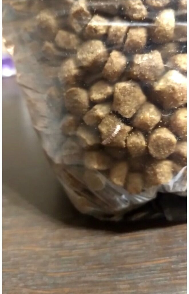 Pet shop Lapochki, Bryansk, photo