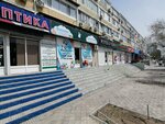 Children's World (6-shy shaǵyn aýdan, 36), children's store