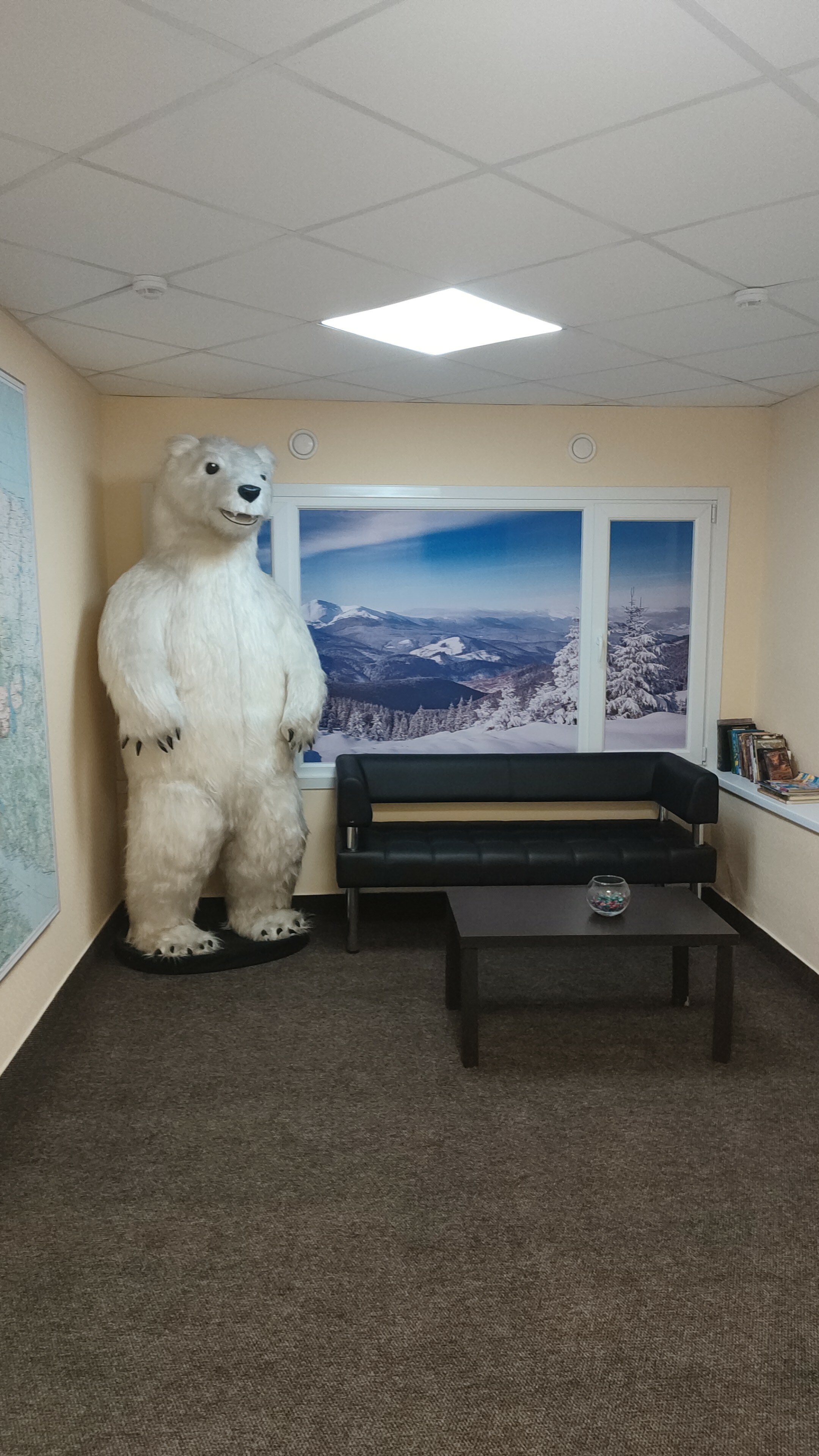 Фото Навигатор