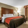 Comfort Inn & Suites Denver Northfield