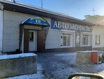 Автозапчасти (ул. Урицкого, 10), магазин автозапчастей и автотоваров в Камышлове