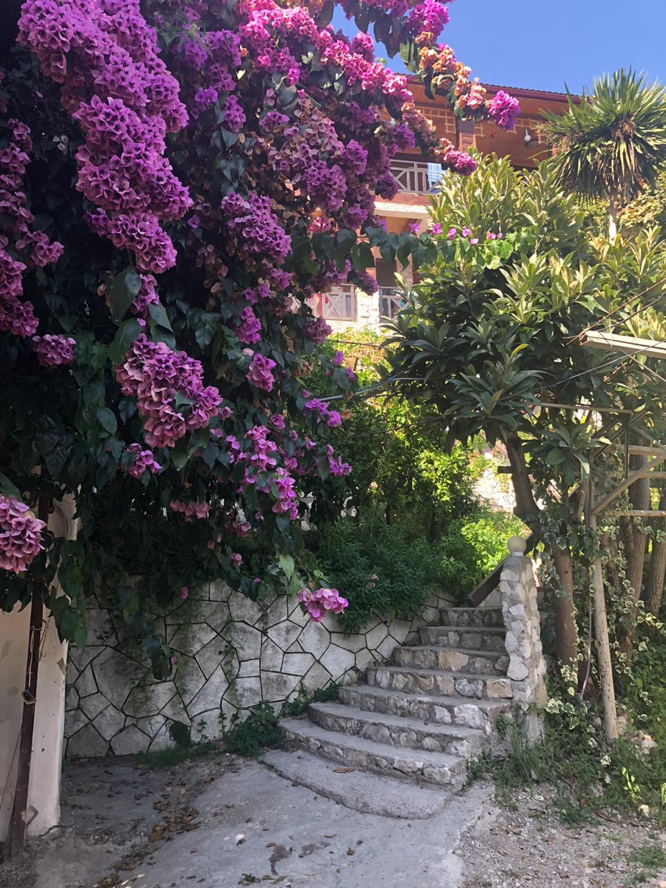 Фото Эль Платано