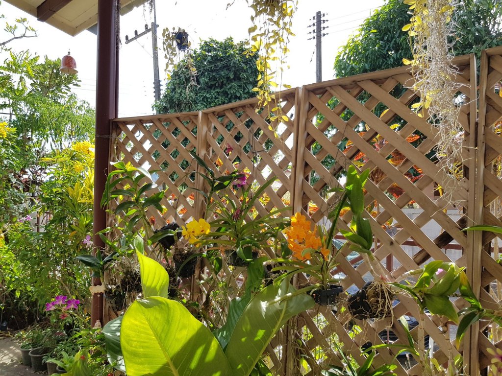 Фото Bunrapee House