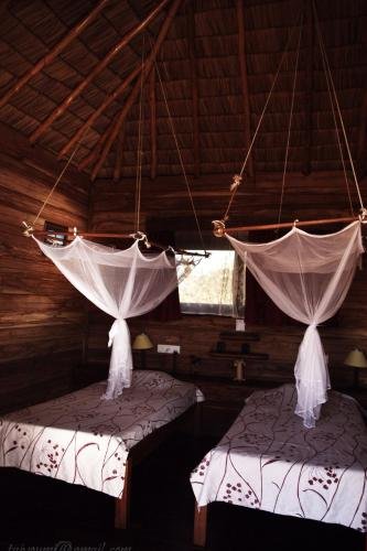 Фото Hotel Solidaire Mangily