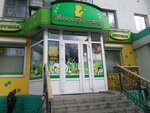 Маленький принц (Radishcheva Street, 55) ، متجر للأطفال