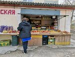 Арбузы и дыни (проспект Юрия Гагарина, 38), greengrocery
