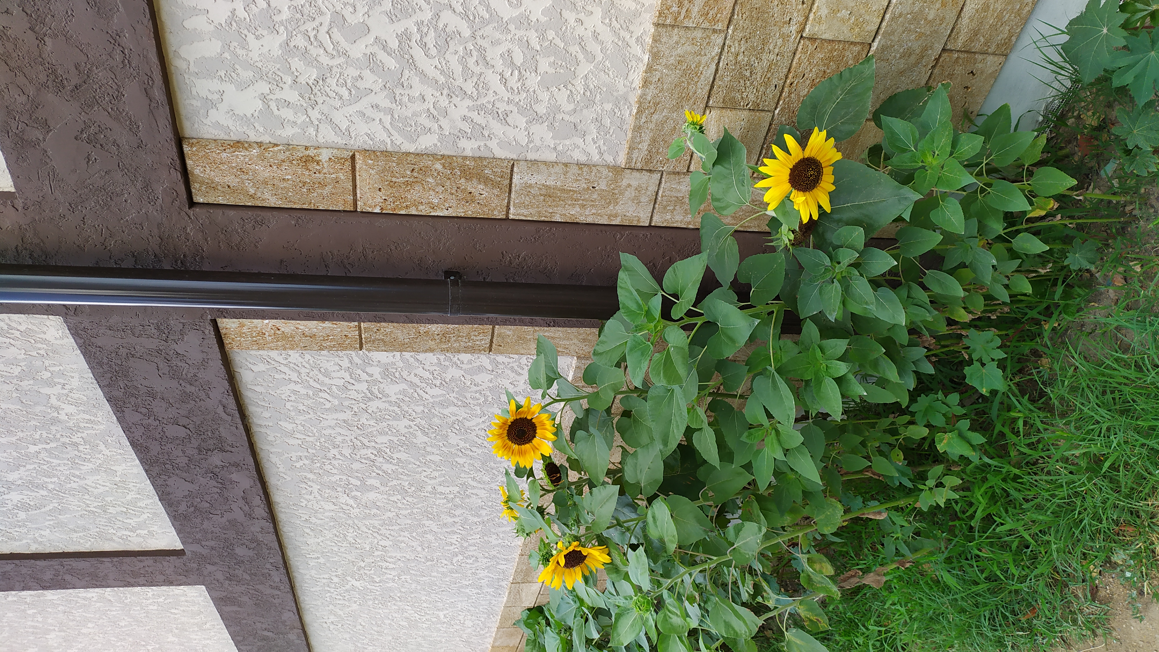 Фото Хельга у моря