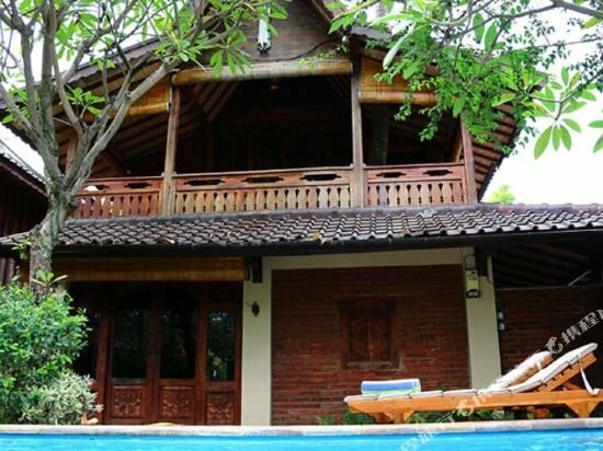 Гостиница Dolphin Hotel Bali