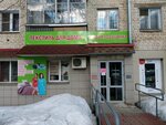 Madam Podushechka (Ivana Popova Street, 24), bedding shop