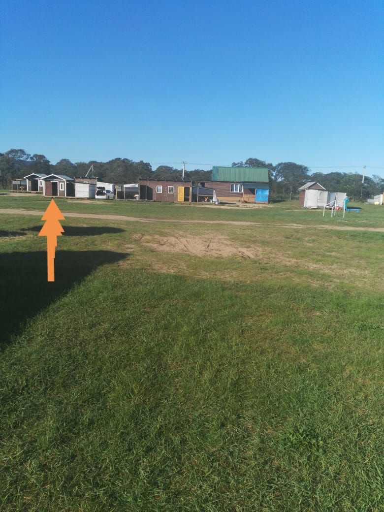 Фото Янтарная