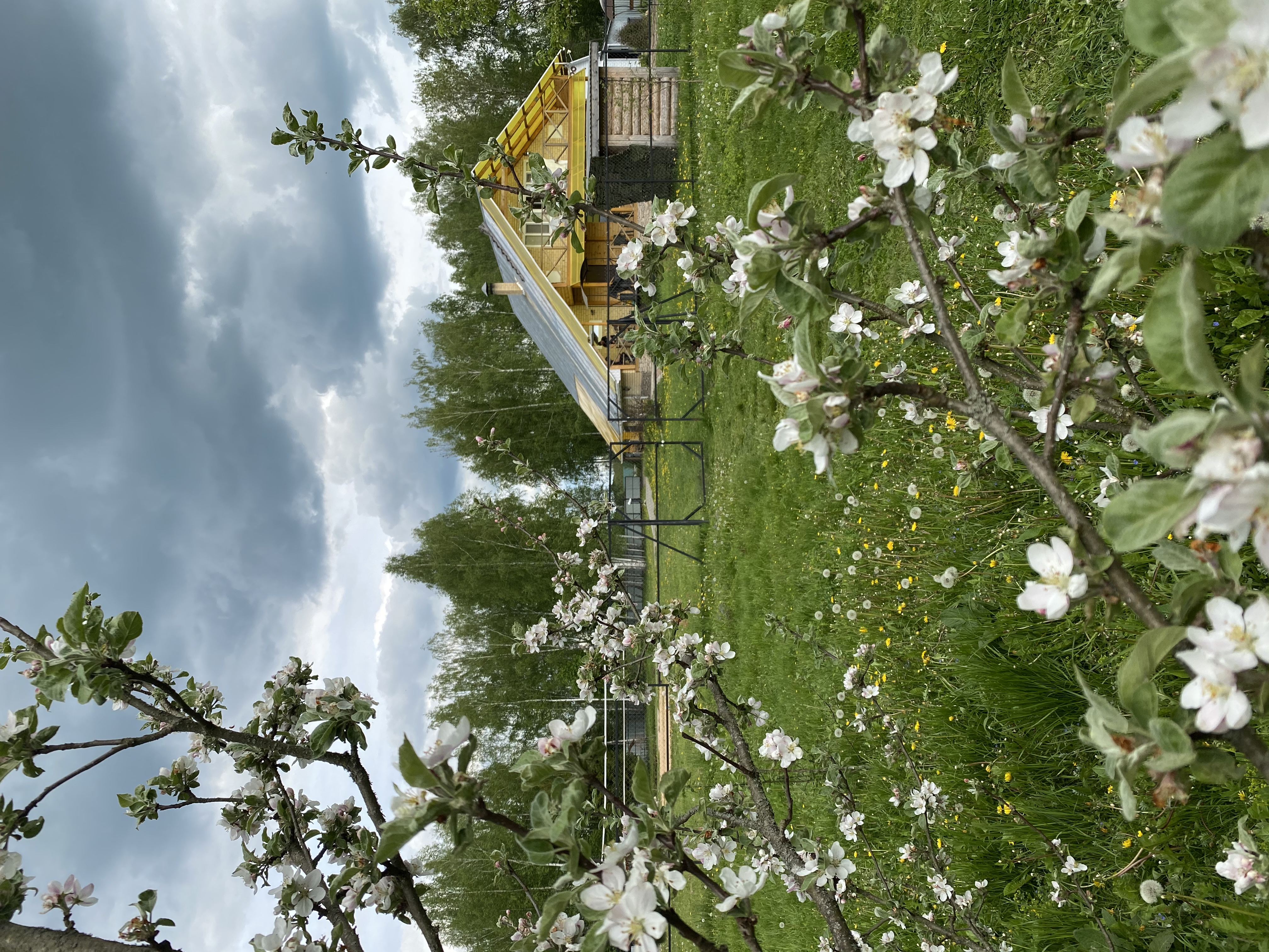 Фото Забава67