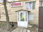 Bakhus+ (Izhevsk, Zimnyaya ulitsa, 11), bebidas alcohólicas