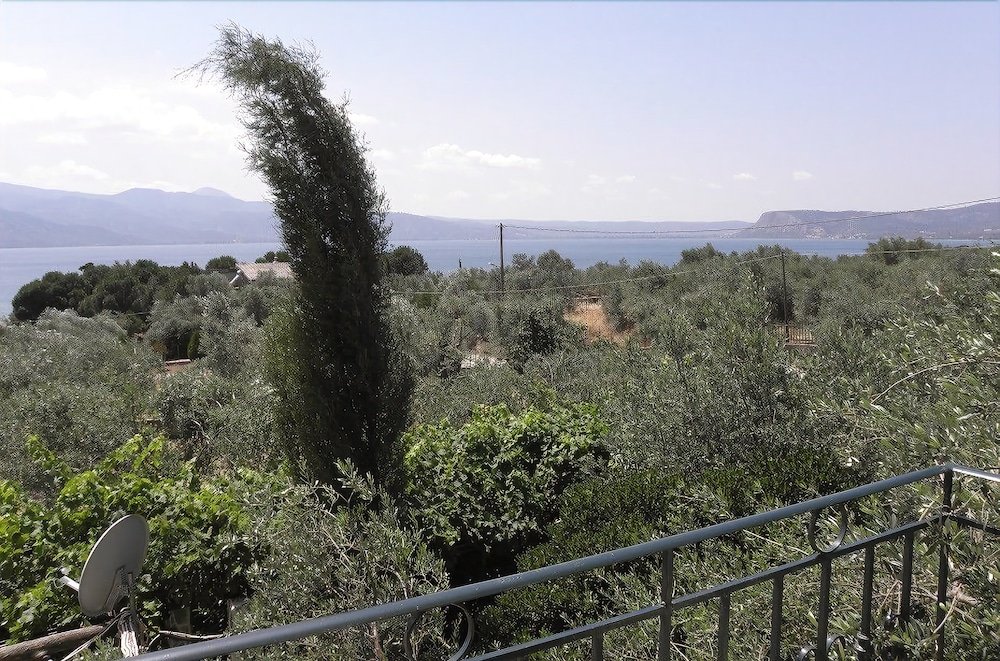 Фото Ampoulos Rooms & Apartments