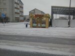 Цветы (Tyumen Region, Yalutorovsk, Severnaya ulitsa), flower shop