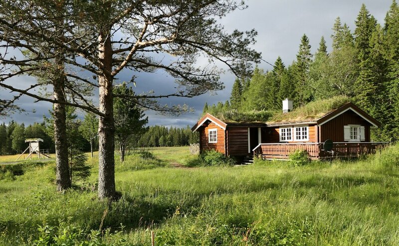 Velfjord camping & hytter