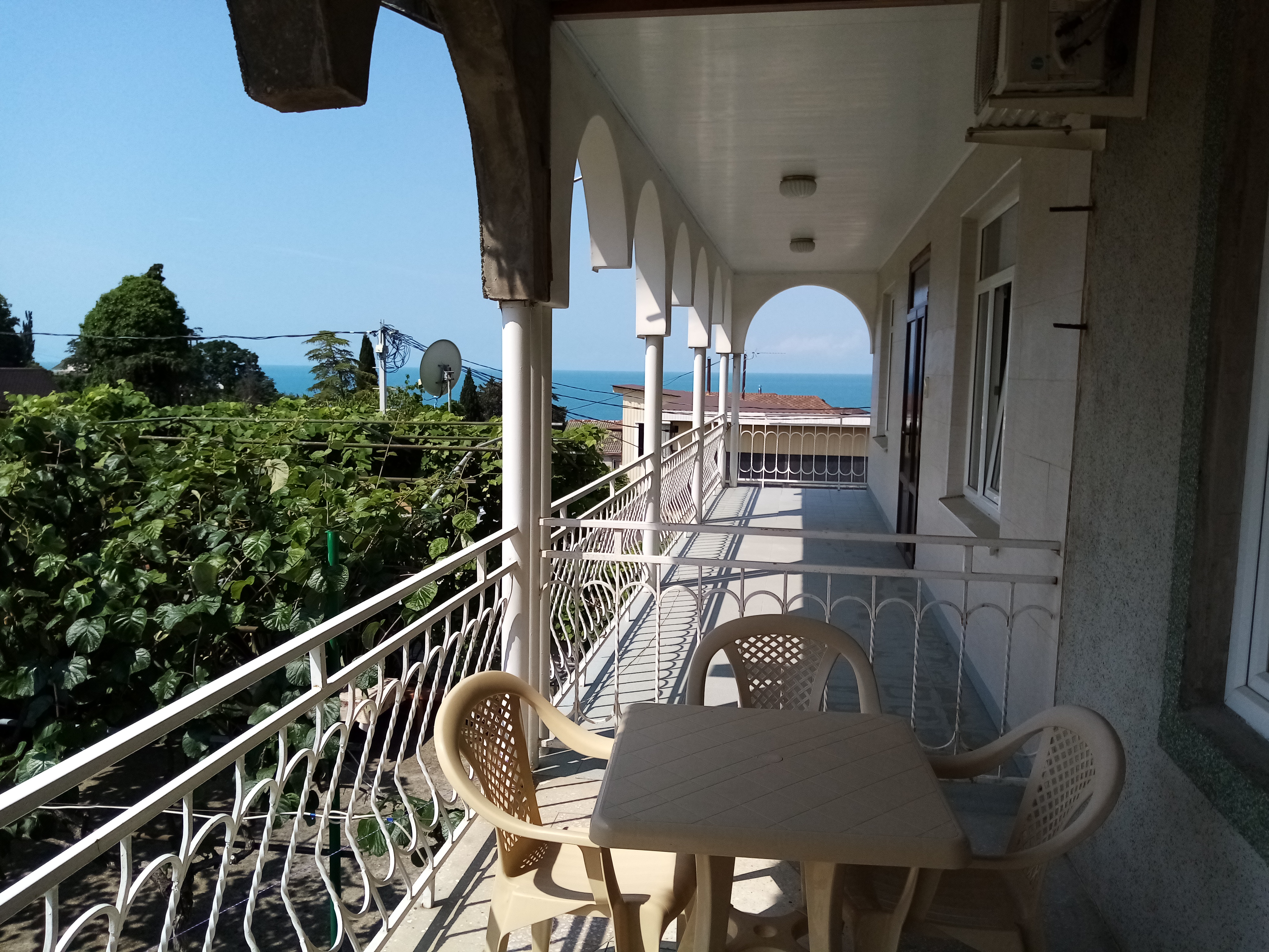 Фото Селена