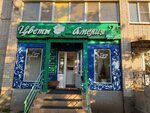 Амелия (Pskovskaya Street, 44к1), flower shop