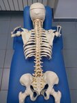 Practical medicine (Izyumskaya Street, 50), medical center, clinic