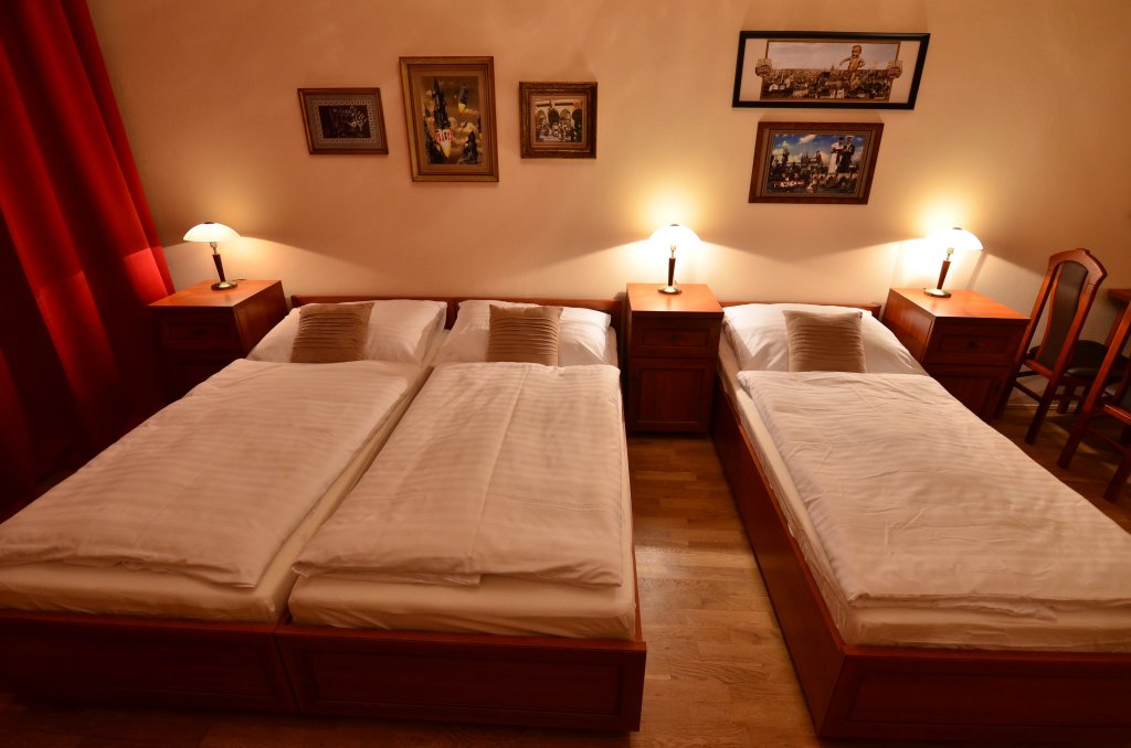 Фото Апартаменты Pension Karlova