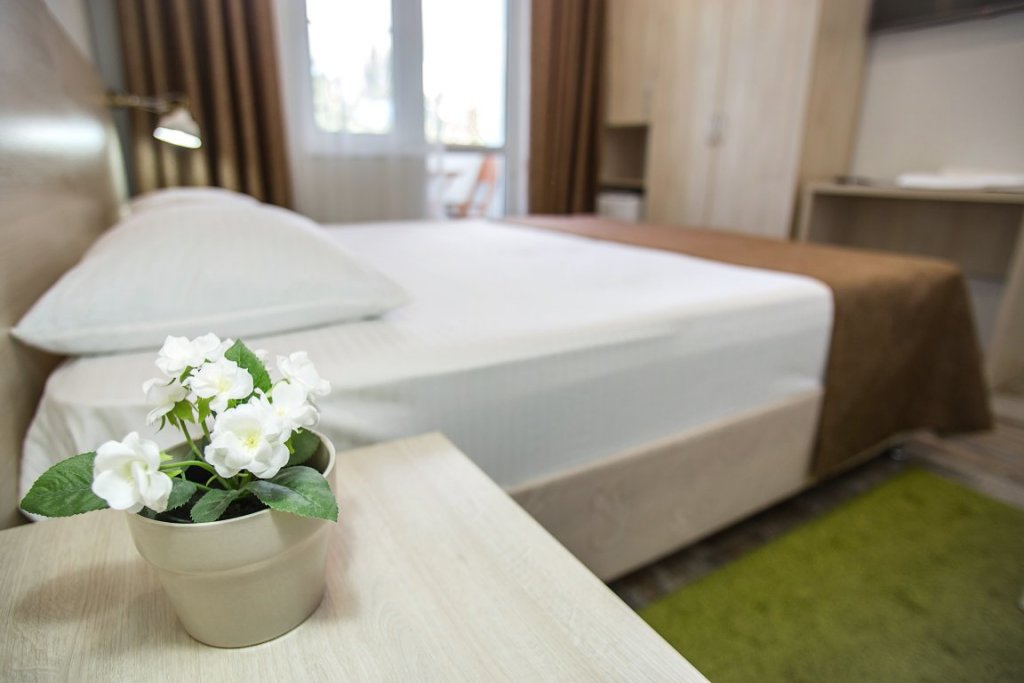 Фото Дублин Дельфин