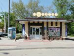 Monetka (Novaya Street, 2) ، محل بقالة