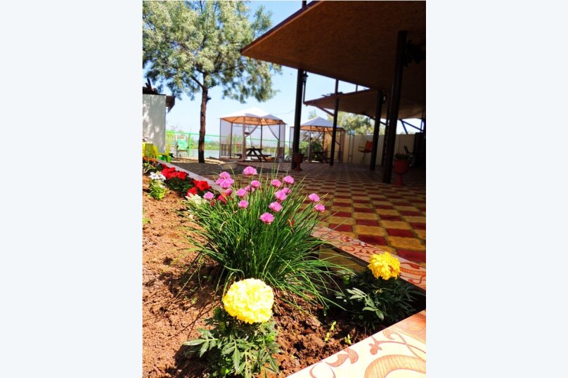 Фото Солнечный